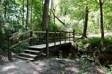 The old wood bridge on the trail in the forest.