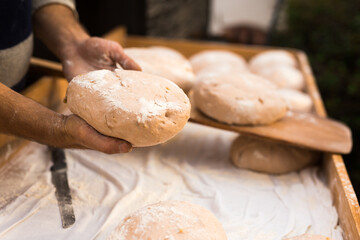bread preparation. loaves of dough before baking