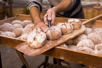 bread preparation. loaves of dough before baking