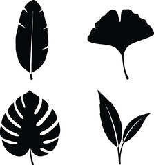Four leaf icons representing botanical diversity