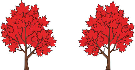Two red maple trees with autumn foliage
