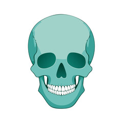 Obraz premium Blue skull illustration with teeth and eye sockets, isolated