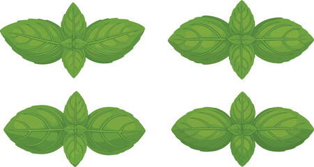 Four basil leaves arranged in a square pattern