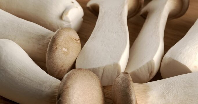 Eryngii (King Oyster Mushrooms) mushrooms close-up footage on rotating table.