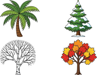 Four trees, including palm, fir, birch, and maple in seasonal designs