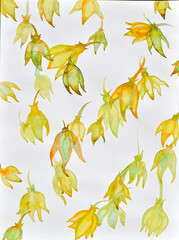 KARAWEK - TRADITIONAL FLOWER