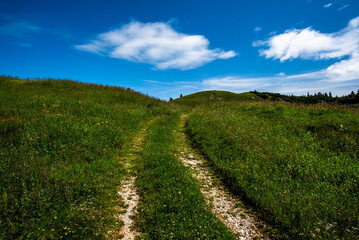 2024 07 20 Asiago landscape 9