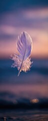 A delicate white feather floats against a soft, dreamy sunset