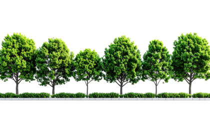 Row of lush green trees