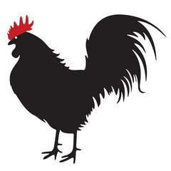 Vector illustration of hen