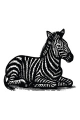 Detailed black and white sketch of a zebra lying down in profile on a white background
