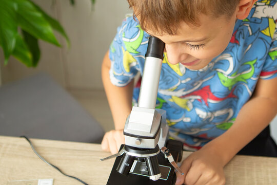 Little boy studies biology at home using a microscope to examine plants in a vibrant educational environment