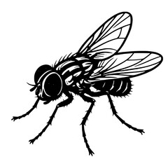 vector illustration of a flies