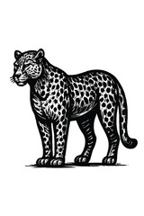 Detailed black and white ink drawing of a majestic leopard standing proudly with its spotted coat and powerful physique