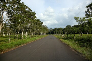 a beautiful pasture in the countryside