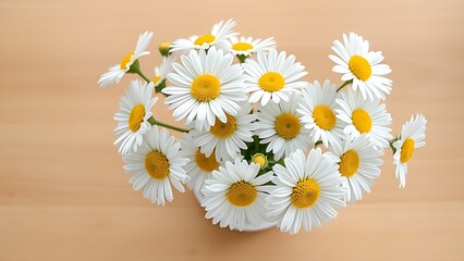 Fresh daisies arranged in a white ceramic vase, bringing a touch of nature indoors.