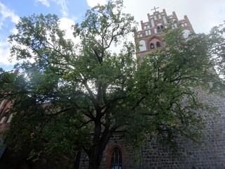 Angerm&uuml;nde in der Uckermark