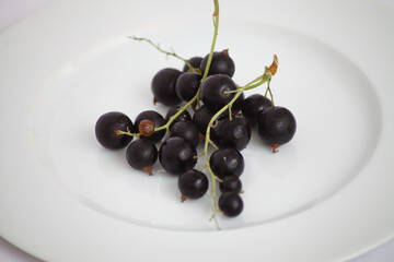 Black currants on a white plate