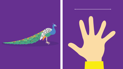 Peacock and human hand on a purple background. Vector illustration