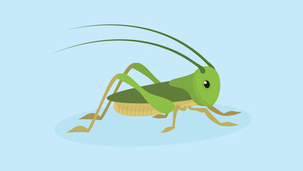 Grasshopper. Vector illustration in flat style. Isolated on blue background.