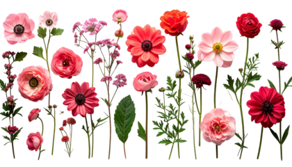 Vibrant floral arrangement in various shades of pink, orange, and red