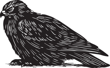 Detailed black and white woodcut illustration of a perched bird of prey with sharp eyes and textured feathers