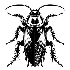 vector cockroach with black and white concept