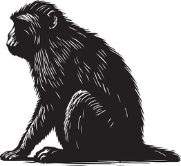 Obraz premium Detailed black and white scratchboard illustration of a dark furred monkey sitting in profile view