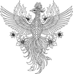 Phoenix mandala coloring page vector