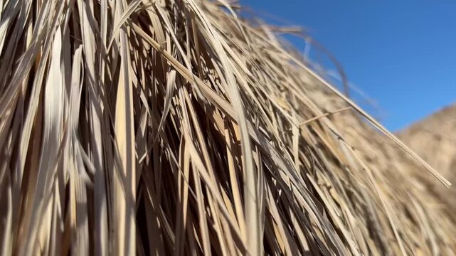 beach with thatched roofs that create a cozy atmosphere.The sand on the beach is light, giving a sense of cleanliness and freshness.he beach is a perfect place to unwind and escape the hustle and bust