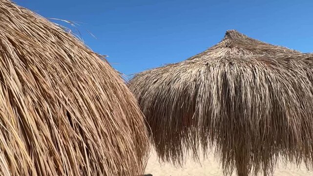 hut on the beach beach with thatched roofs that create a cozy atmosphere.The sand on the beach is light, giving a sense of cleanliness and freshness.he beach is a perfect place to unwind and escape th