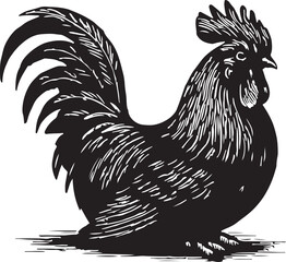 Detailed black and white woodcut illustration of a proud rooster standing with its tail feathers fanned out © toomotion