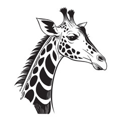 Naklejka premium Stylized Giraffe Illustration - Detailed Ink Drawing of a Giraffe Head
