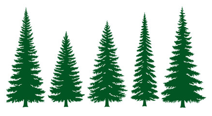 Obraz premium handmade douglas fir tree silhouettes vector illustration set 