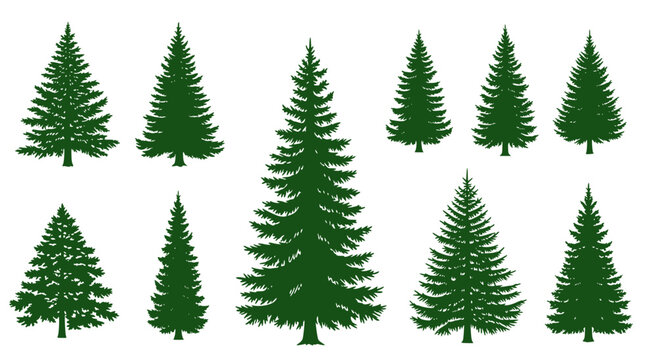 handmade douglas fir tree silhouettes vector illustration set 