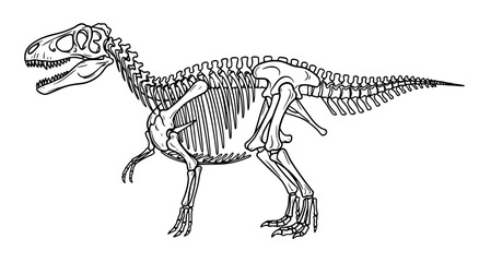 Fototapeta premium dinosaur skeleton vector illustration