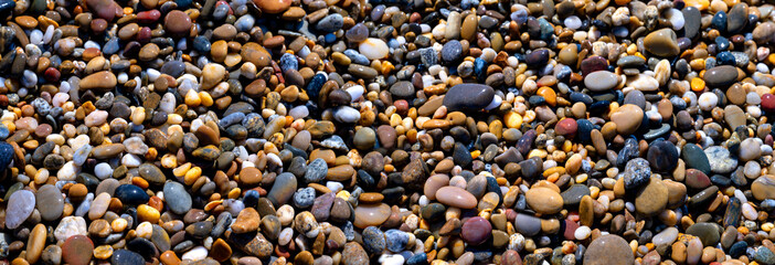 Colorful banner motif featuring wet pebbles on the beach of the Portuguese Atlantic coast near Porto. Minerals such as quartz, granite, and sandstone, rounded and eroded by the surf and currents.