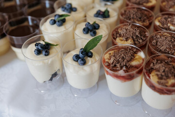 Sweet desserts in transparent cups: delicate cream with blueberries and mint, and cream with chocolate shavings and fruits. Elegant arrangement of a dessert table at a festive celebration.