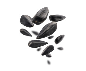 Sunflower seeds levitate on a white background