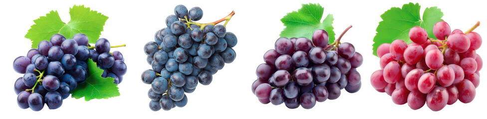 Close-up shot of various fresh grapes with green leaves 