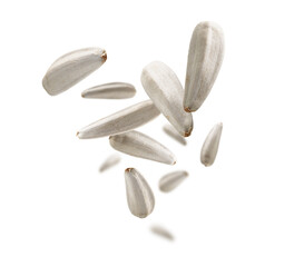 White sunflower seeds levitate on a white background