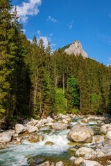 Clear mountain stream rushing between boulders in a coniferous forest. Rocky peak rises in the background. Peaceful summer nature scene from the mountains of Slovakia. Belianske Tatry