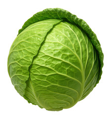 Fototapeta premium Ripe cabbage on a neutral background.
