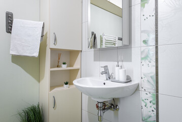 Modern Bathroom Interior with Clean White Sink and Green Decorative Elements
