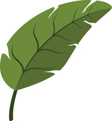 Illustration of Green Tropical Leaf