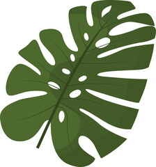 Illustration of Green Tropical Leaf