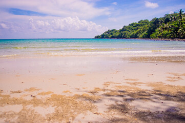 tropical beach in thailand