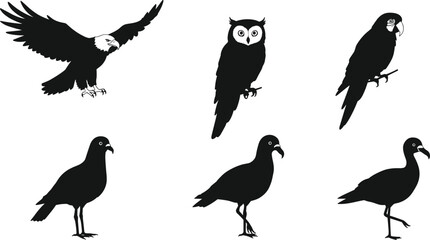 Bird silhouette illustration set, eagle, owl, parrot, pigeon, dove, wildlife, nature, animal species, black and white design