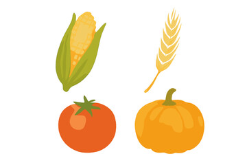 Autumn harvest season produce collection featuring corn, wheat, ripe tomato, and orange pumpkin on a clean white background