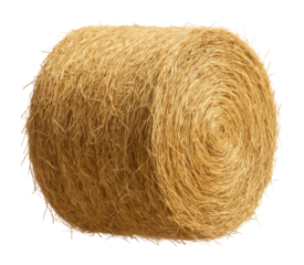 Hay bale on a white background.